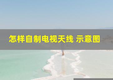 怎样自制电视天线 示意图